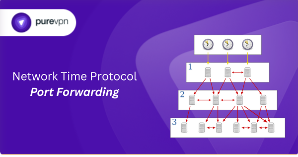 Network Ports to Open Guide: Essential Tips for Secure Access
