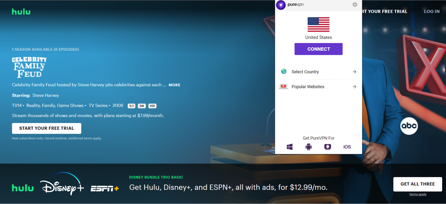 How to watch Celebrity Family Feud Season 10 outside the US