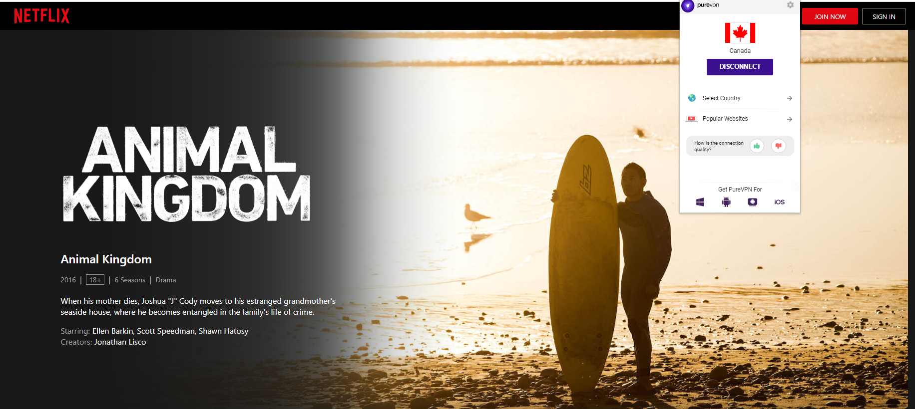 How to watch Animal Kingdom on Netflix in the UK PureVPN Blog