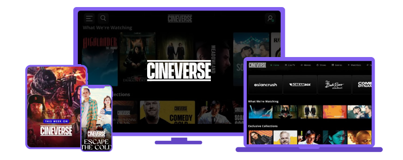 best VPN for Cineverse