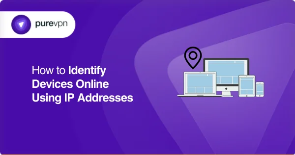 identify device by ip address online