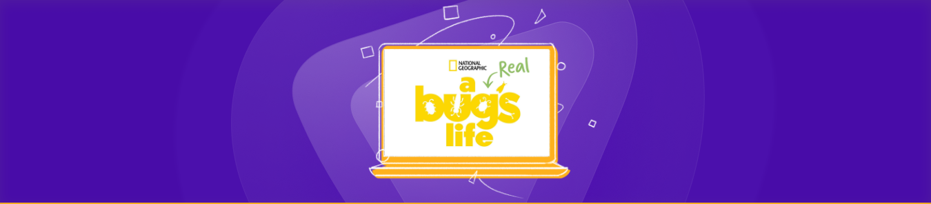 watch A Real Bug’s Life in the UK