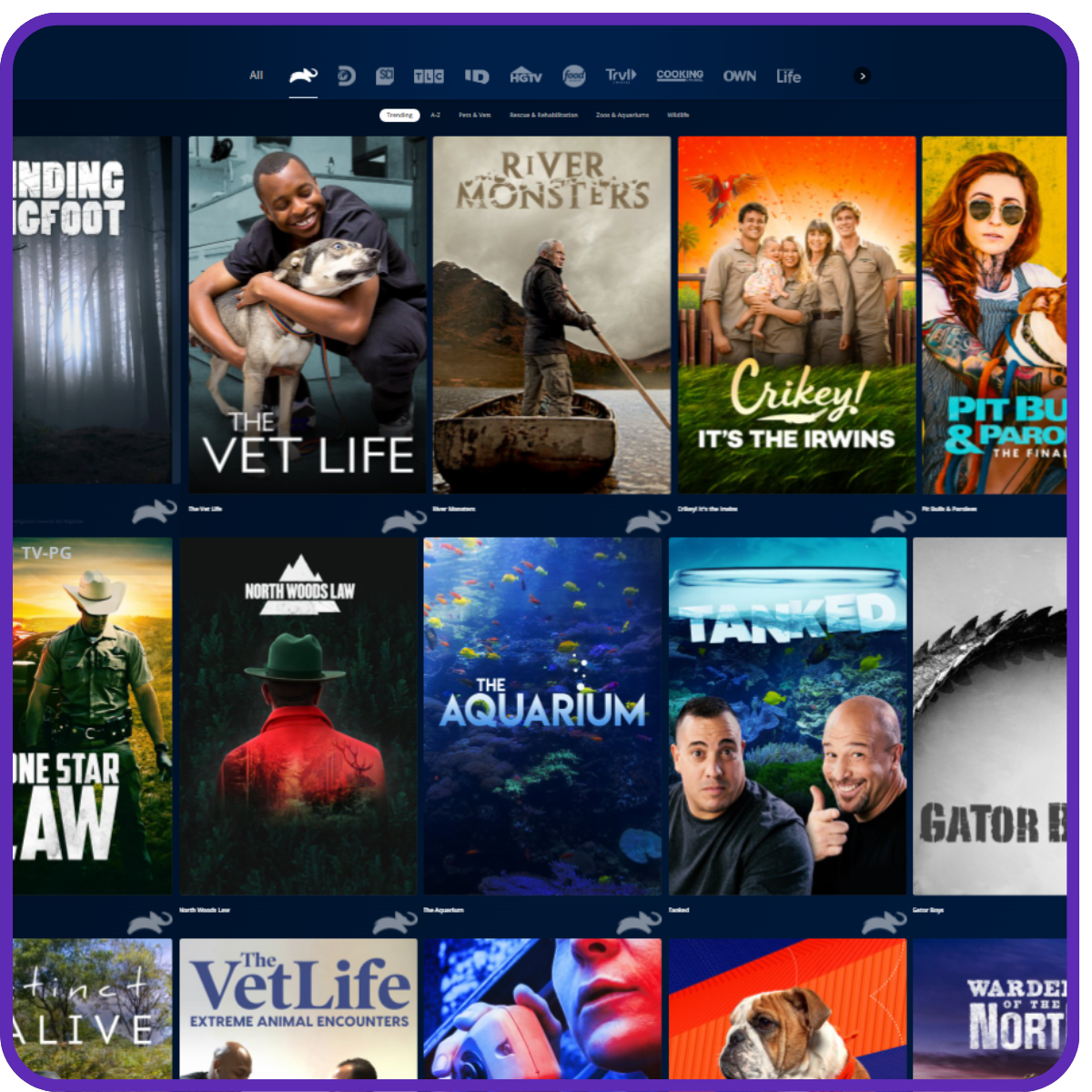 How to watch Animal Planet in Australia - PUREVPN - How Can I Watch Animal Planet Without Cable