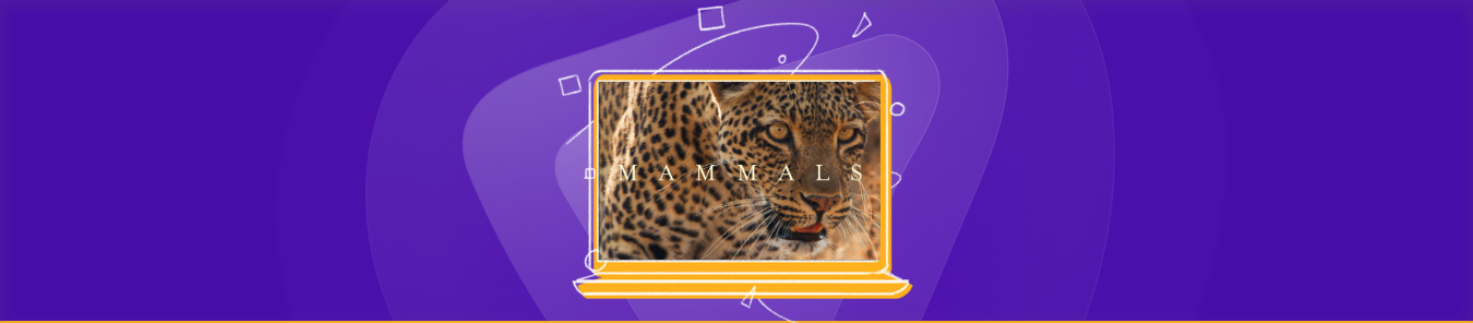 Watch Planet Earth Mammals in Australia