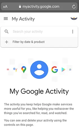 open safari and visit google activity