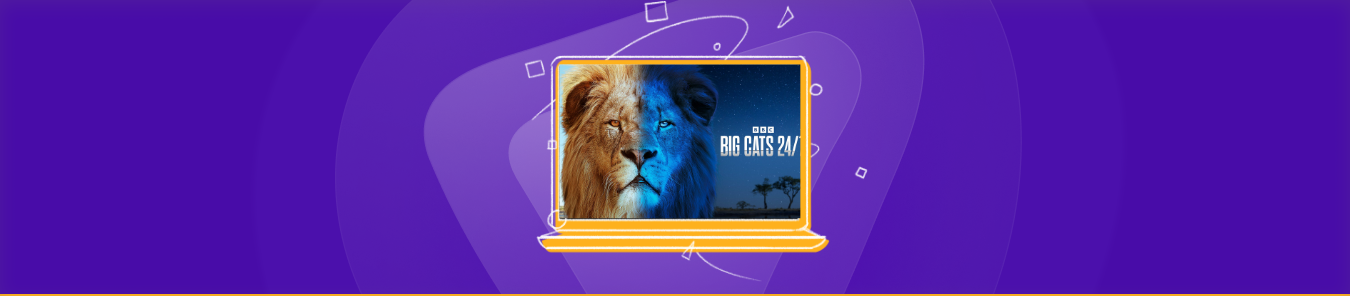 watch Big Cats 24/7 in the US