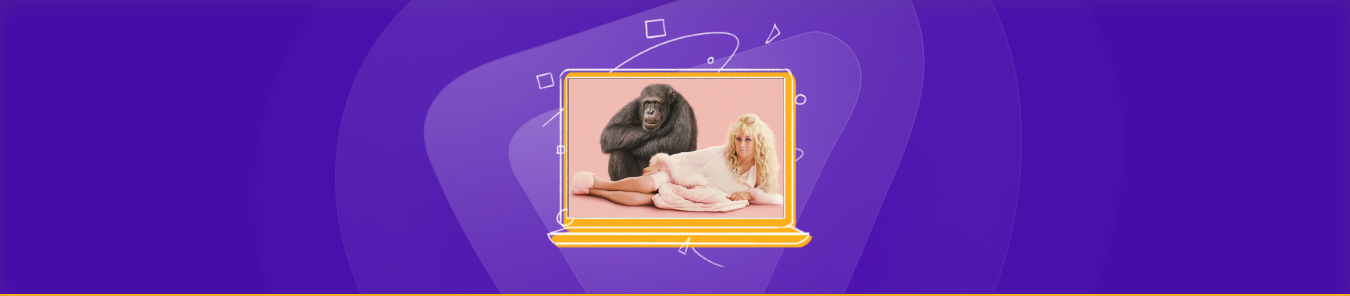 Watch Chimp Crazy Outside the US on HBO