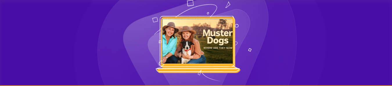 watch Muster Dogs: Where Are They Now