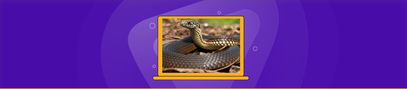 How to Watch The Snake Outside the US on Hulu