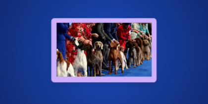 How to Watch The National Dog Show in Australia on NBC