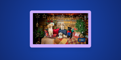 How to Watch The Dog House at Christmas in Canada on Channel 4