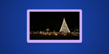 How to Watch the 2025 National Christmas Tree Lighting Ceremony in the UK