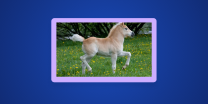 How to Watch Ponies in Canada on Peacock