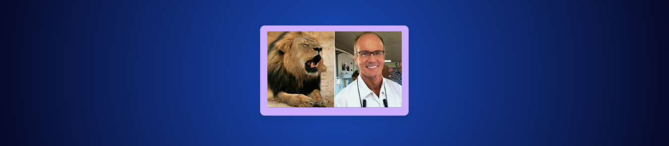 How to Watch Cecil The Lion and The Dentist in Canada on Channel 4